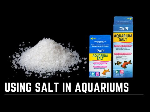 Aquarium Salt - A Great All Round Fix and Fishroom Staple