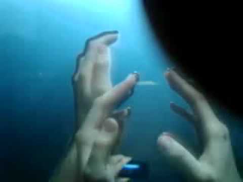 04-05-12 MAGAZZINI GENERALI Steve Aoki And Sidney Samson - Wake Up Call (Peacetreaty Remix).wmv