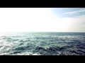 George Winston - Sea