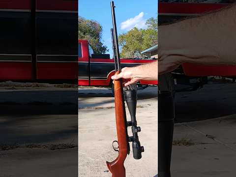 Remington 512 is super quiet with subsonic 22lr and 25 inch barrel. hickok45 would be proud lol