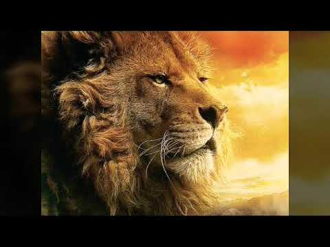 Elohim bara et hashama im