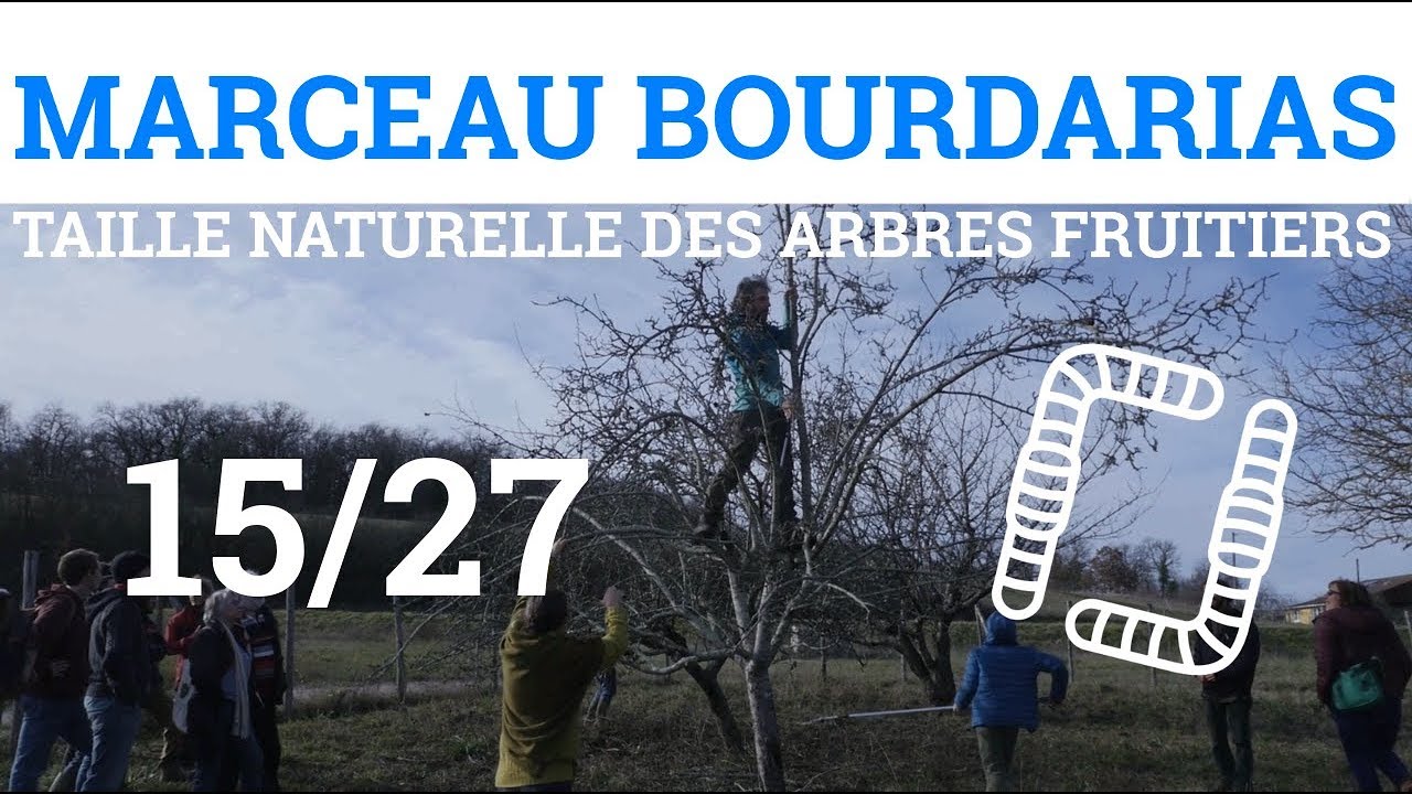 15/27 - M.BOURDARIAS - Taille Naturelle des Arbres Fruitiers - Bilan