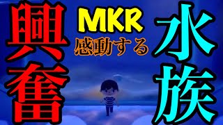 初めて来る水族館にMKR、奇声を上げる【切り抜き】【あつ森】