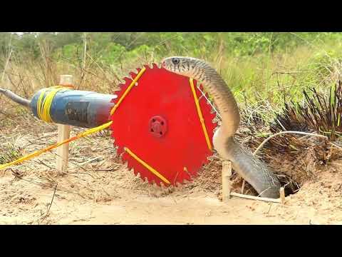 Primitive Technology - Easy Snake Trap That Work 100%