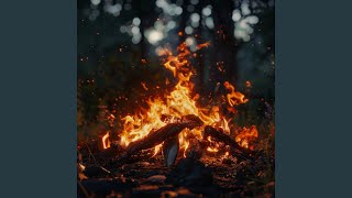 Soft Bonfire Melodies for Cat Rest