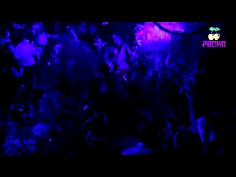 Pacha Moscow TV - HARLEM SHAKE PARTY