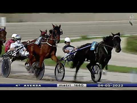 Aversa trotto 4 Maggio 2022 - 4° Corsa