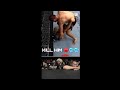 Khabib Vs Conor Corner Reaction Kill Him Part5