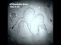 Kate Bush - Snowflake