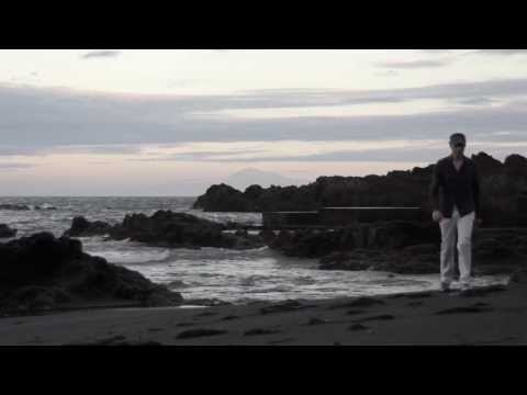 La grizeco - i.d.c. - album " Signoj de viv' "