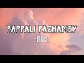 Pappali Pazhamey Lyrics Meesaya Murukku 2