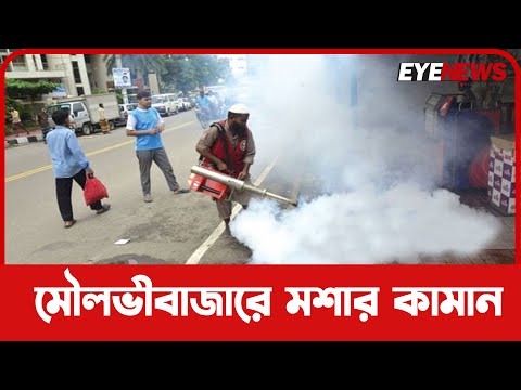 মৌলভীবাজারে মশার `কামান`