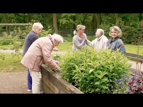 Unser Leuchtturmprojekt im Dorotheenviertel Hilden wächst!