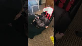Safety 1st 3 in 1 Car Seat- Cleaning with Micah