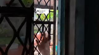 Download lagu plant ultraman - tiktok Susanto Gouw #shorts mp3