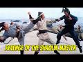 REVENGE OF THE SHAOLIN MASTER Kung Fu Theatre Flash Legs Tan Yuen Woo Ping