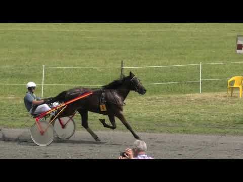 Trka "DVD Despotovo" 18.07.2021 Lavazza - Andor Vereb