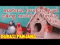 Masteran Lovebird Paud Paling Ampuh Mudah Di Tiru Nada Slow Durasi 1 Jam