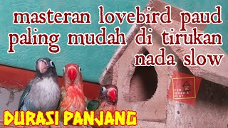 Download lagu Masteran lovebird paud - paling ampuh  mudah di tiru nada slow - durasi 1 jam mp3