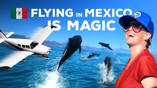 I flew a plane into Mexico! This is HOW.