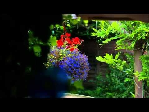 Führerprinzip am Beispiel Adolf Hitler - 2. WK Nazi-Ideologie, Judenverfolgung & Holocaust 2