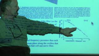 16. Auditory nerve; psychophysics of frequency resolution