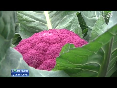 Per la potenza Khan La natura degli uomini con limpotenza