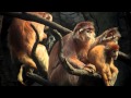 [VER-HD] DMT: The Spirit Molecule 2010 Pelicula Completa en español Latino Online repelis
