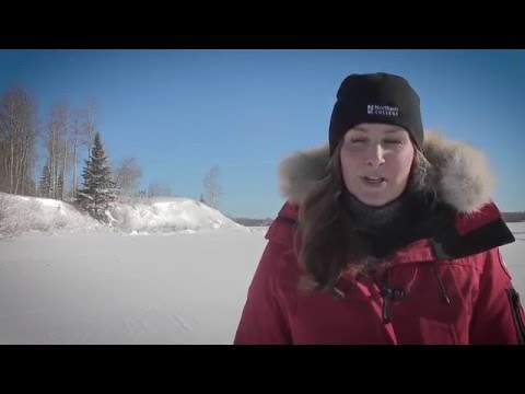 Leaders of Tomorrow Campaign