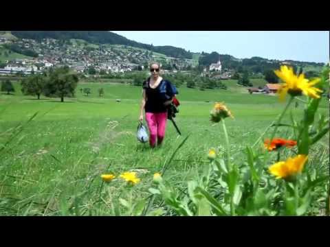 Gopfnomal, ich wött doch nur as open air