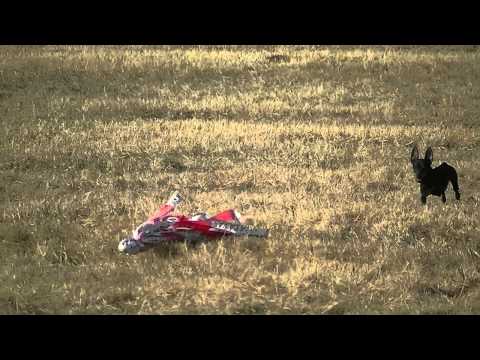 Coursing trénink 17.3.2012 - Eda a Aronek