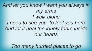 Adrian Belew - I Walk Alone Lyrics