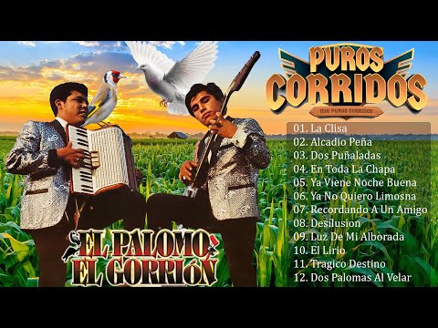 Las 30 Clasicas De El Palomo y El Gorrion 🐦🕊 Corridos y Rancheras Con Mariachi Mix