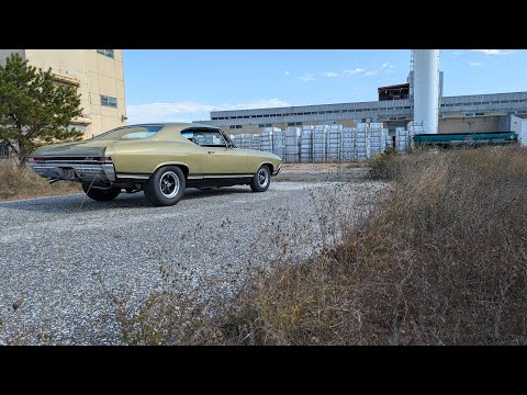 1968 Chevrolet Chevelle Malibu (CC-1905188) for sale in Lindenhurst, New York