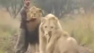 ★ PEOPLE SAVING ANIMALS ★ NEW RENAISSANCE ★ Part 3 ★