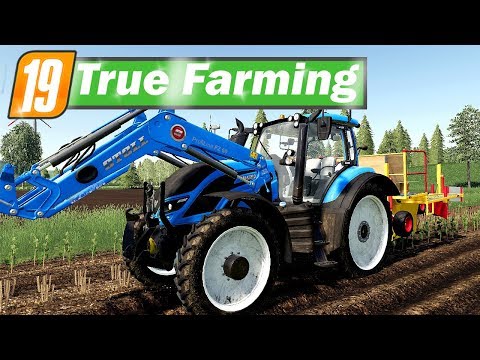 LS19 True Farming #239 - LOHNUNTERNEHMEN setz uns unter DRUCK | Farming Simulator 19
