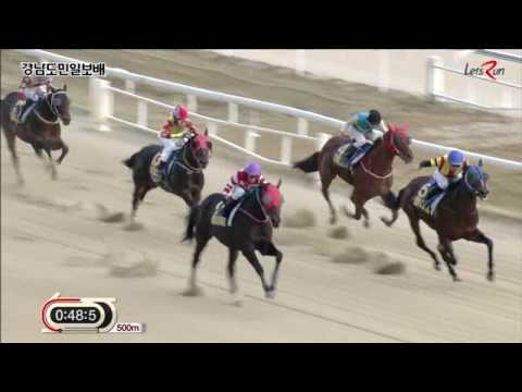 Gyeongnam Do Min Ilbo Cup 2015