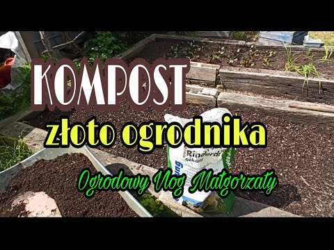 KOMPOST - złoto ogrodnika, uzupełnianie grządek kompostem.