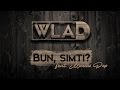 WLAD - Bun, Simti? (feat. Marius Pop) 