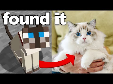 Real Life Catnap: Lonox Steals Minecraft Kitty!