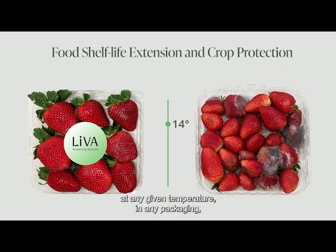 LiVA fights microbial food spoilage using the natural act of good bacteria logo