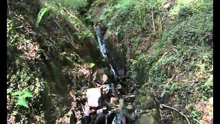 vigeois 2010.wmv