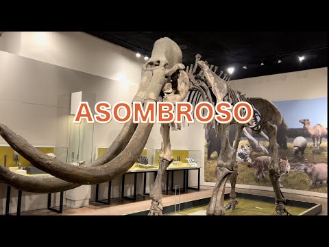 Así é o Museu Regional de Guadalajara