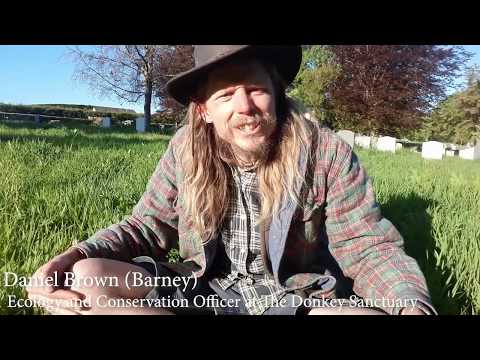 Grasses ID for beginners’