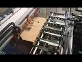 Riproduci video
