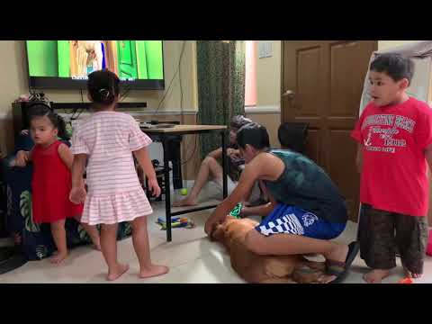 Overly excited with my visitas | Azra the Golden Retriever