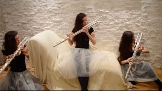 Björk - Unravel, Cover by Daniela Mars, Trevor James Bass flute