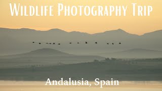 Wildlife Photography Trip to Andalusia, Spain | November 2023