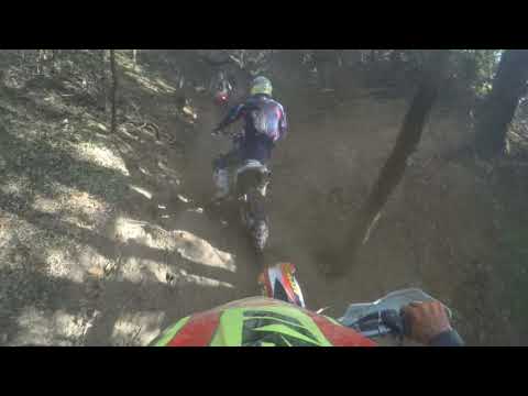 Pannonhalma Heavyking EXC 200 - 2019 /2