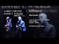 Larry Carlton  David T  Walker    Nite Crawler